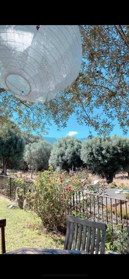 Вілла Domaine De Tappa - Casa Filicina Sollacaro Екстер'єр фото