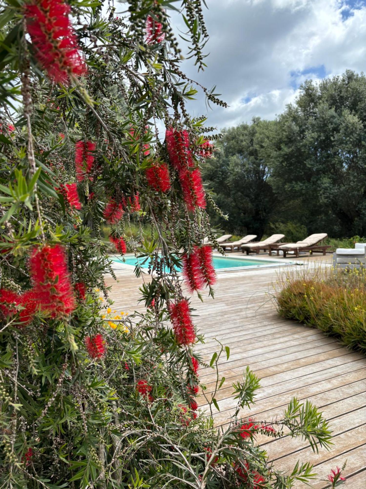 Вілла Domaine De Tappa - Casa Filicina Sollacaro Екстер'єр фото